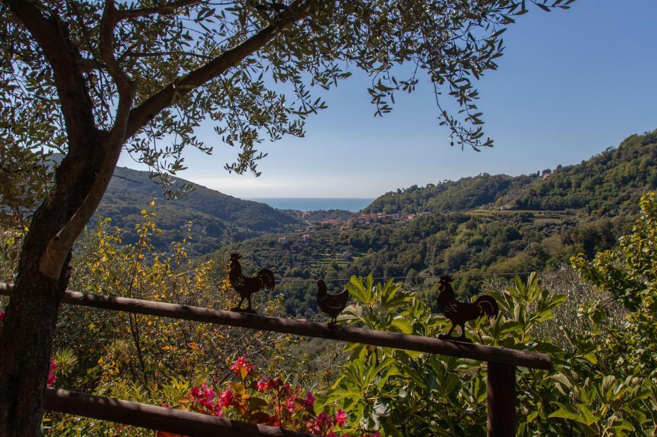 Pietrantica - Affittacamere Con Giardino Nuova Apertura A Trebiano -Citr Exterior foto